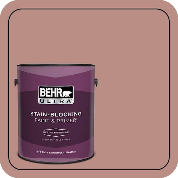BEHR PREMIUM PLUS #170F-5 Brick Dust Flat Interior/Exterior Paint & Primer Color Sample (3)