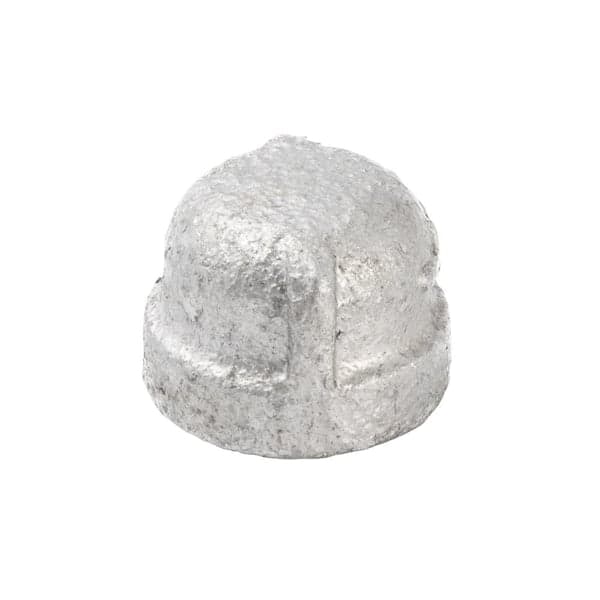 Southland 1/4 in. Galvanized Malleable Iron Cap Fitting (2)