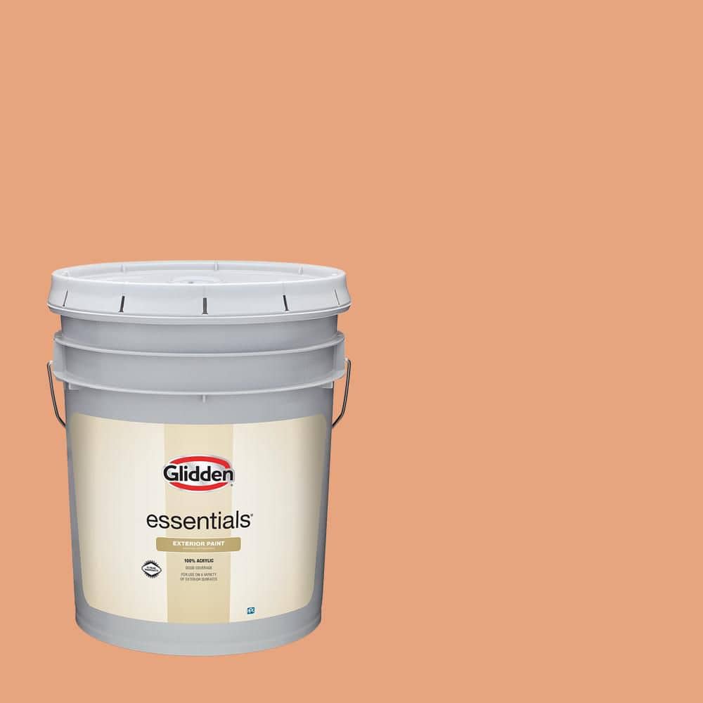 Glidden Essentials 5 gal. PPG1200-4 Orange Clay Satin Exterior Paint