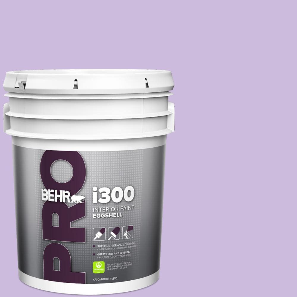 BEHR PRO 5 gal. #P570-2 Confetti Eggshell Interior Paint
