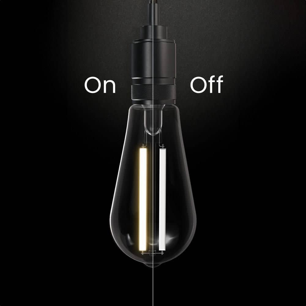 Feit Electric 100-Watt Equivalent ST19 Straight White Filament Clear Glass E26 Vintage Edison LED Light Bulb, Soft White 2700K(2-Pack) (3)