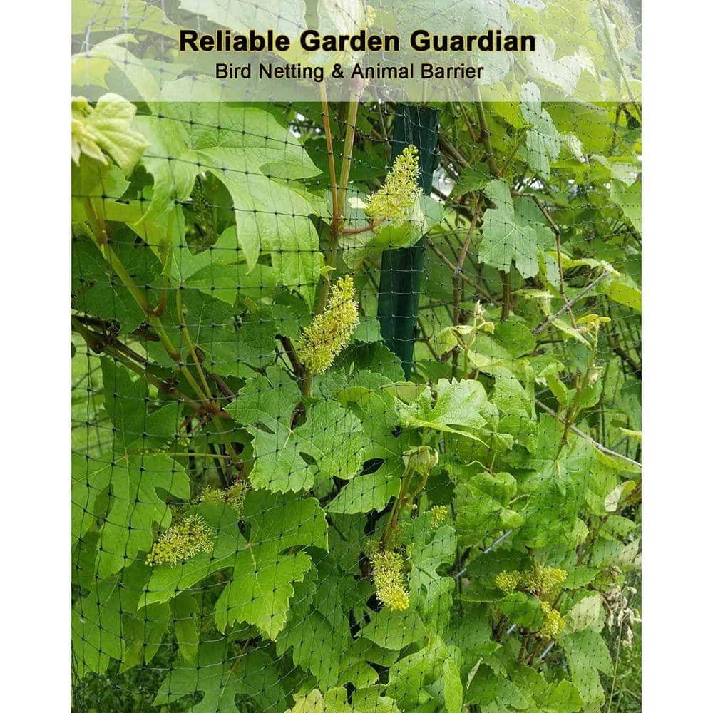 KIWDZFU Bird Netting 7.5 x 100 ft. Heavy Garden Netting for Fruit Trees, Plants, Vegetables Protection Against Animals (2)