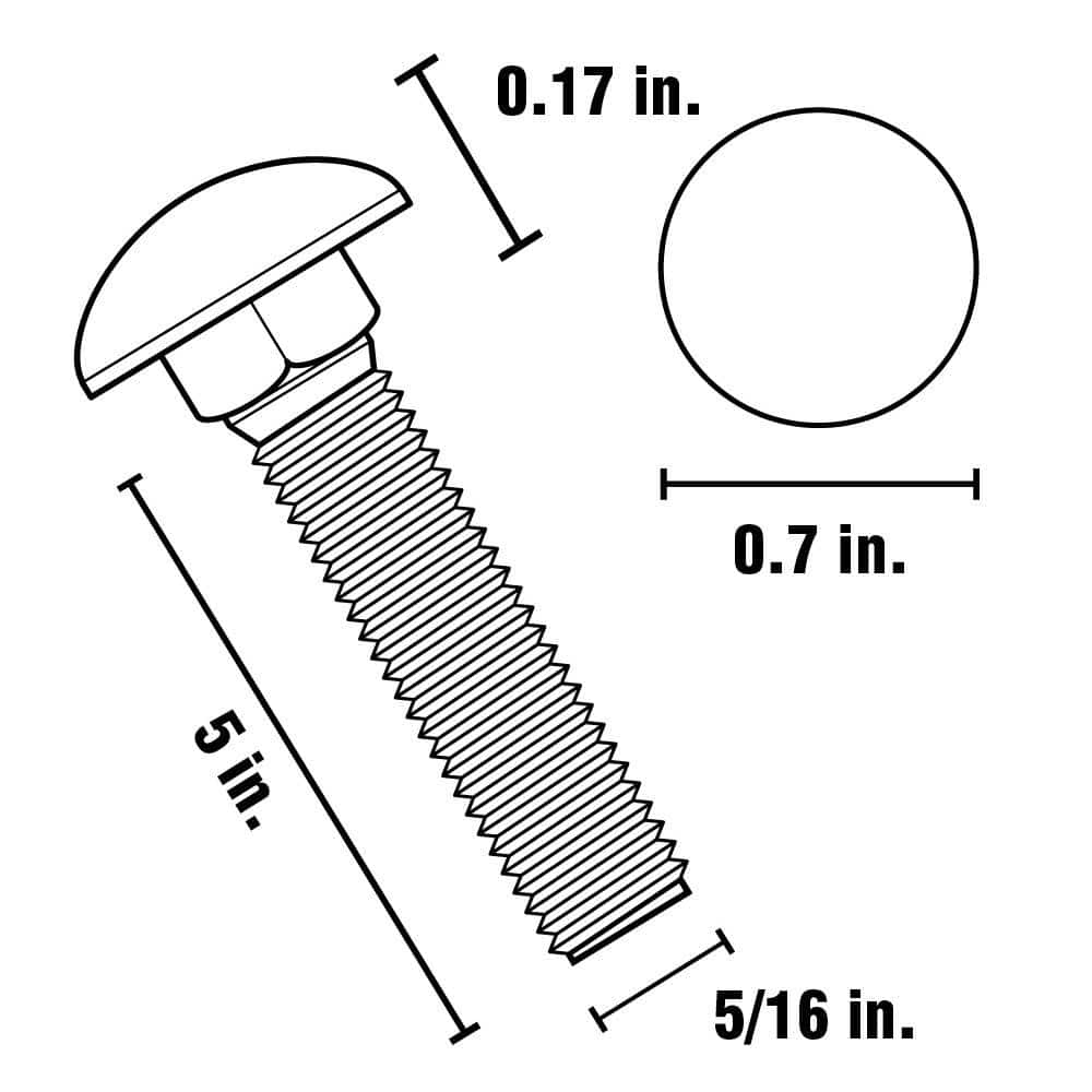 Everbilt 5/16 in.-18 x 5 in. Galvanized Carriage Bolt (3)