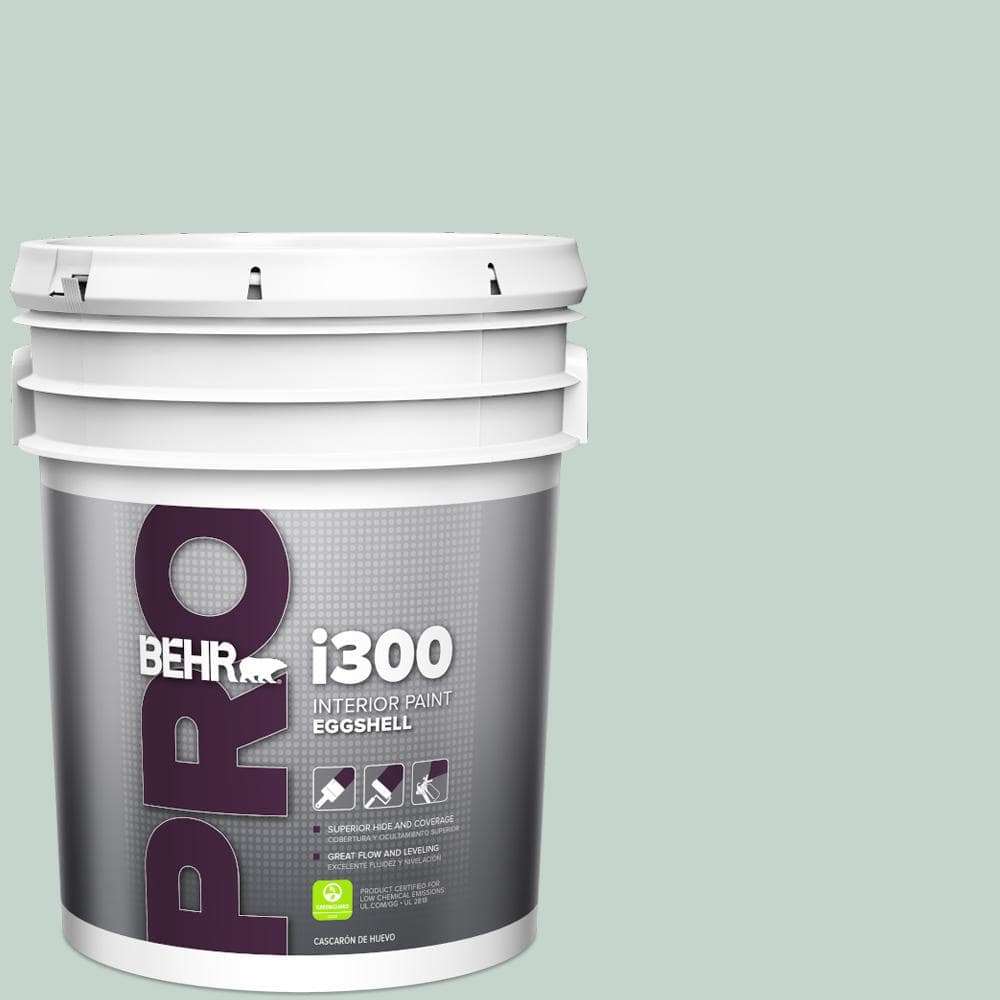 BEHR PRO 5 gal. #N430-2 Natures Reflection Eggshell Interior Paint