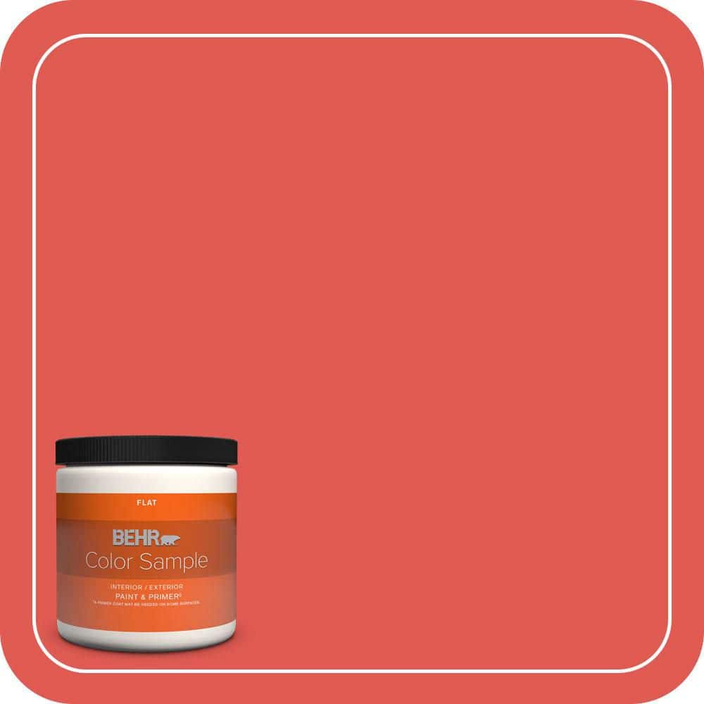 BEHR PREMIUM PLUS #170B-6 Lipstick Flat Low Odor & Primer (1)