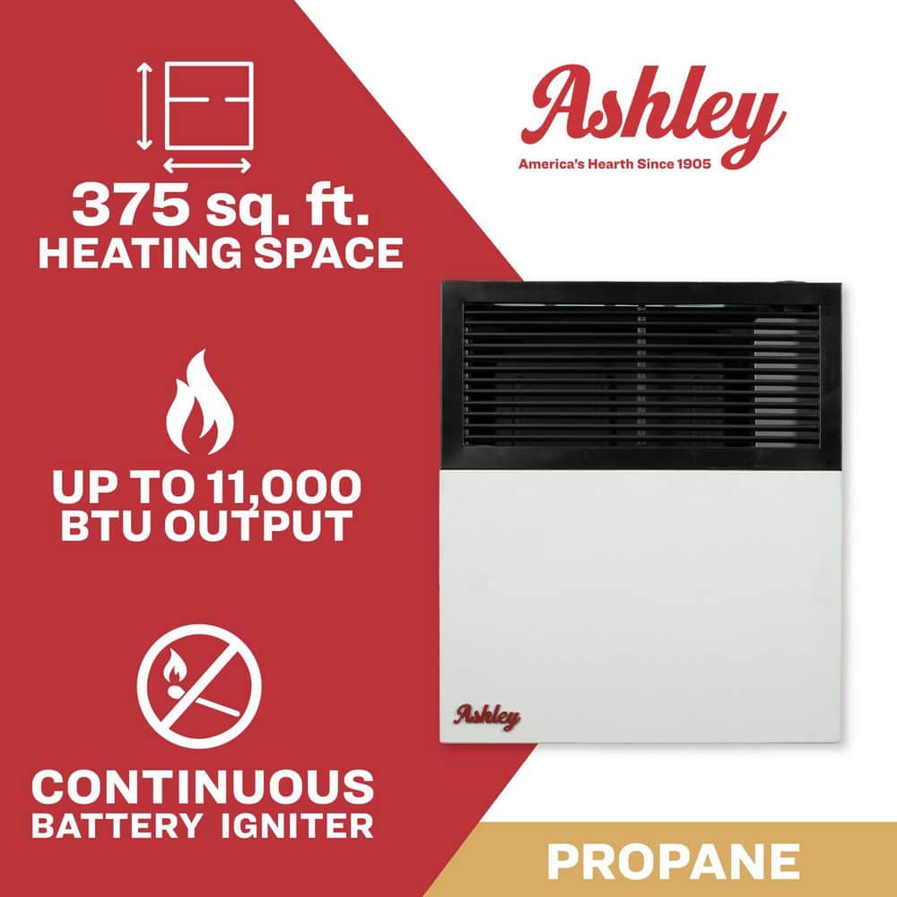 Ashley Hearth Products 11,000 BTU Direct Vent Propane Heater (2)