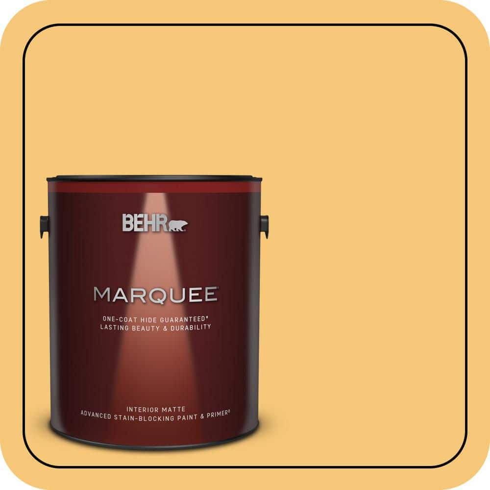 BEHR MARQUEE 1 gal. #T14-19 Sunday Afternoon Matte Interior Paint & Primer