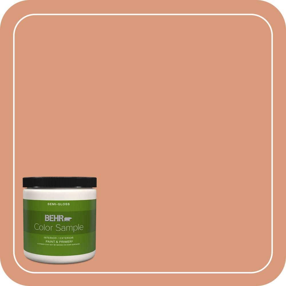 BEHR PREMIUM PLUS 8 oz. #MQ1-27 Dazzle and Delight Semi-Gloss Interior/Exterior Paint & Primer Color Sample