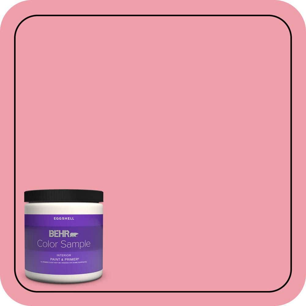 BEHR PREMIUM PLUS #120B-5 Candy Coated Flat Low Odor & Primer (1)