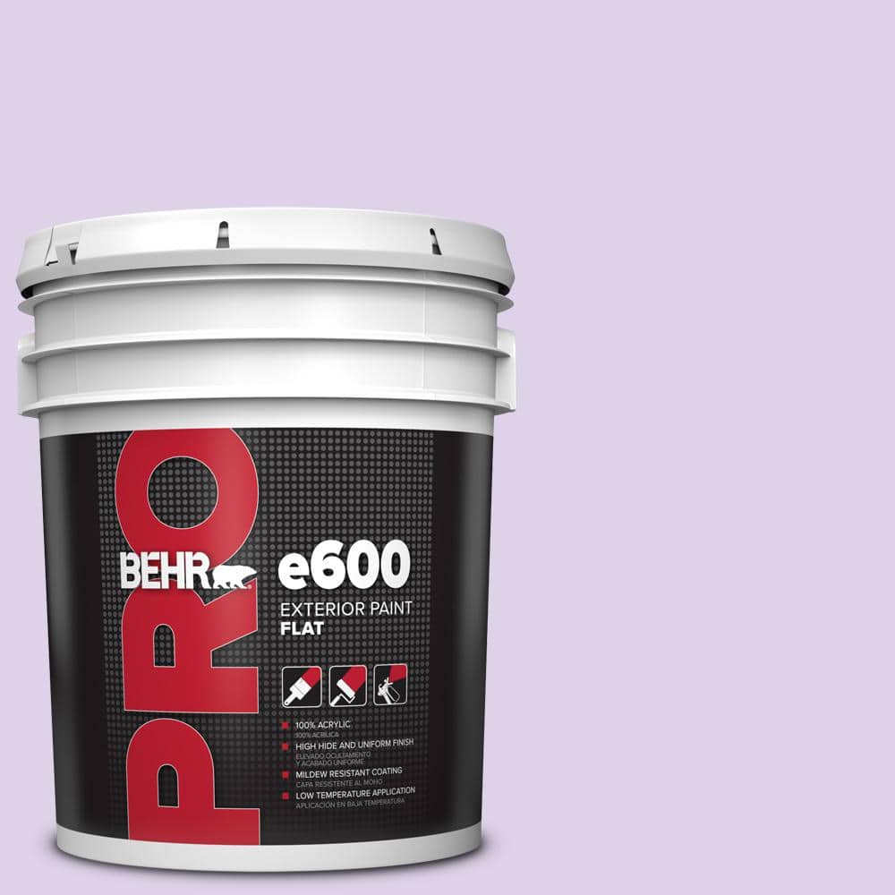 BEHR PRO 5 gal. #P570-1 Teary Eyed Flat Exterior Paint