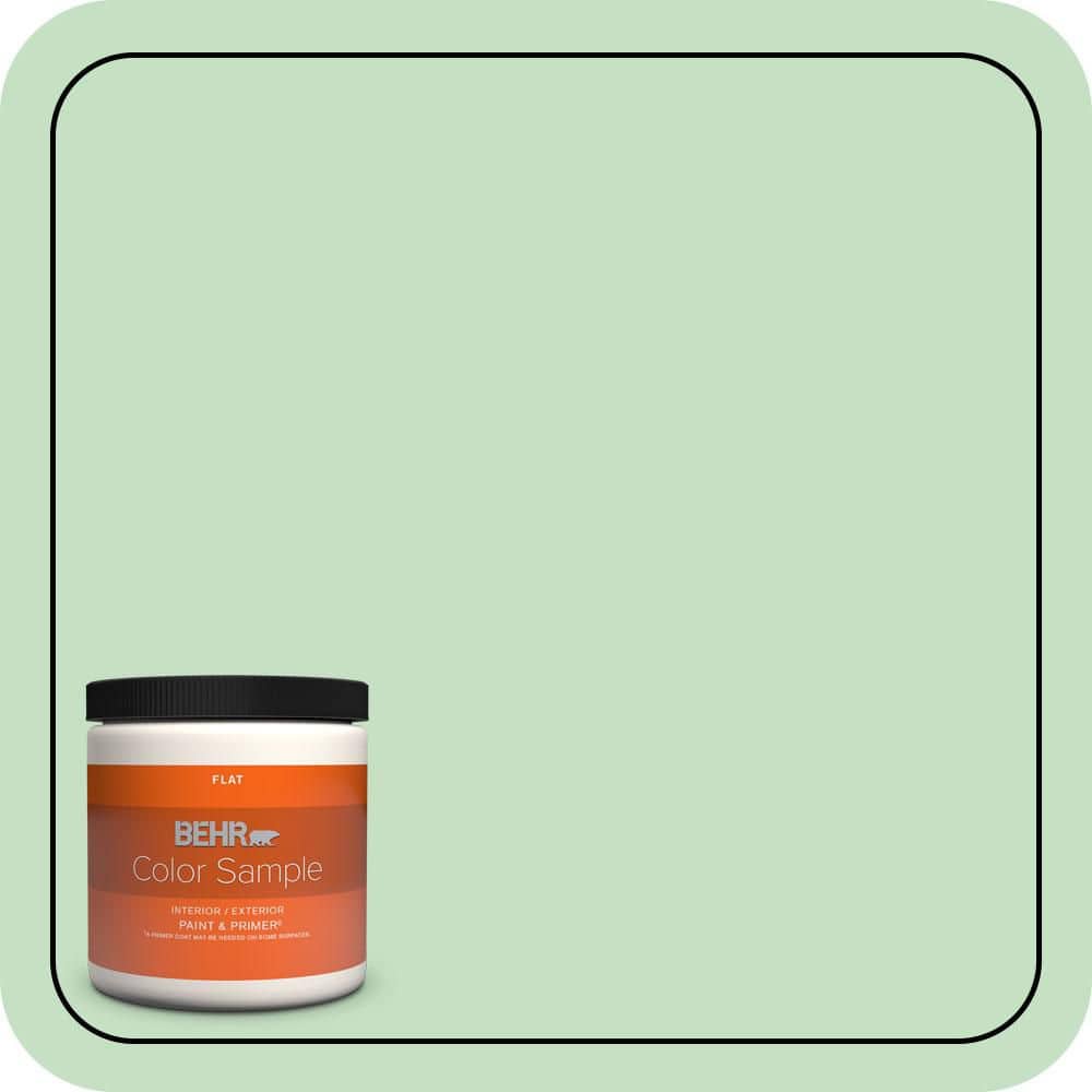 BEHR PREMIUM PLUS #450C-3 Green Myth Enamel & Primer Color Sample (1)