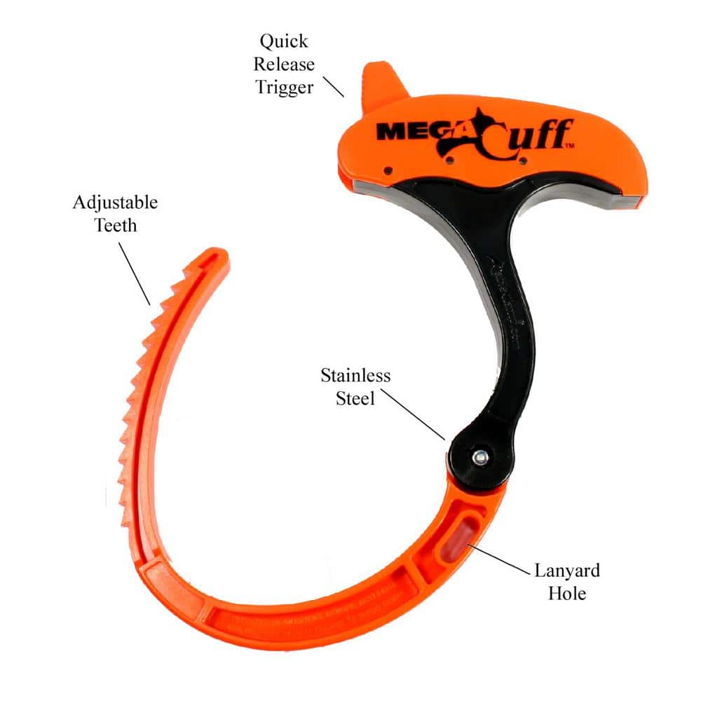 QA Worldwide Mega Cuff (4-Pack) (2)