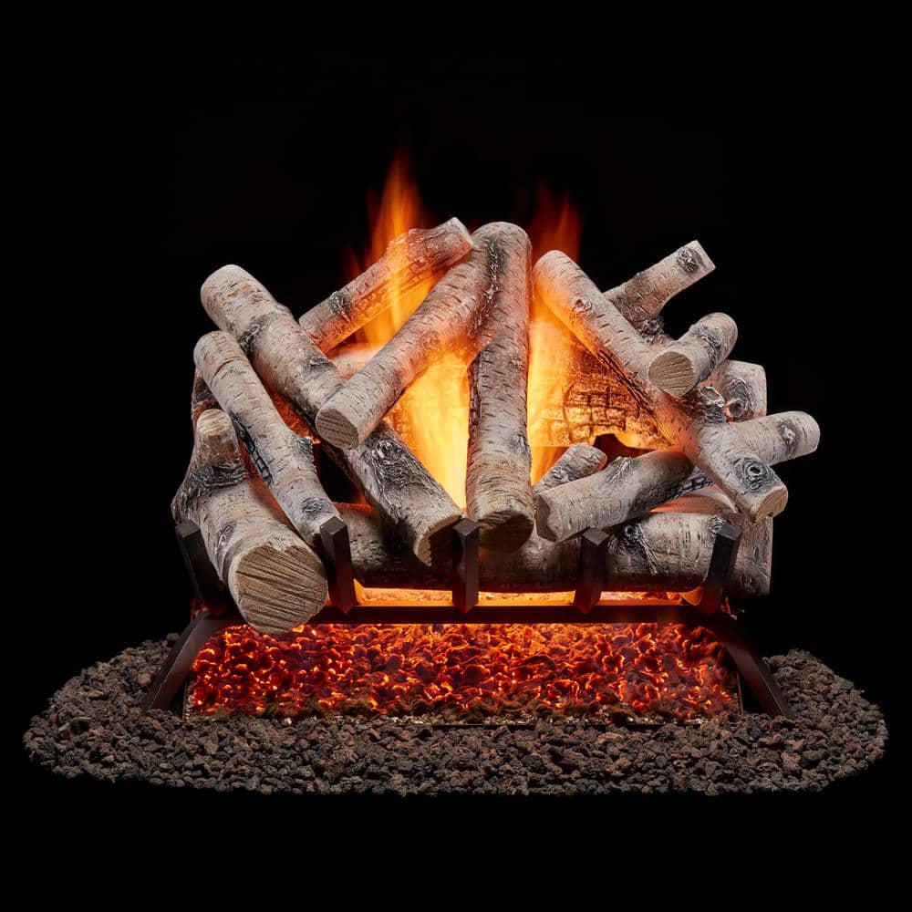 Bluegrass Living 24 in. Birch Wood Vented Natural Gas Fireplace Log Set, 55,000 BTU, Match Light (2)