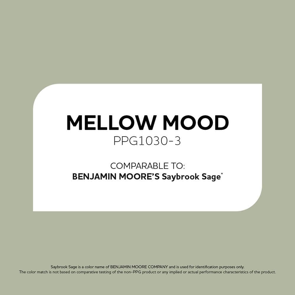 Glidden PPG1030-3 Mellow Mood Sample (2)