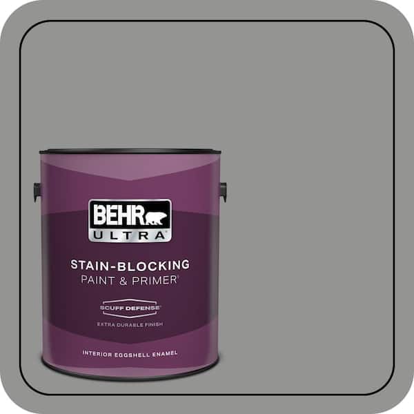 BEHR PREMIUM PLUS #780F-5 Anonymous Enamel Interior/Exterior Paint & Primer Color Sample (2)