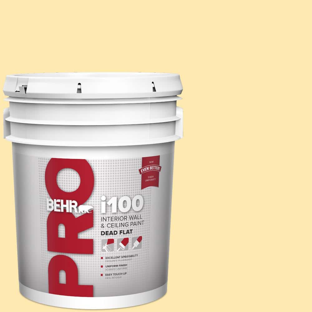 BEHR PRO 5 gal. #330A-3 Lively Yellow Dead Flat Interior Paint