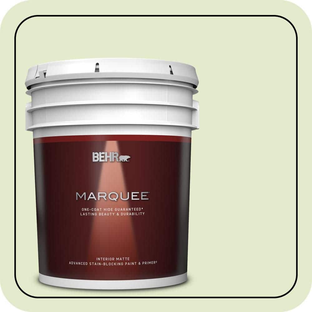 BEHR MARQUEE 5 gal. #P370-2 Praying Mantis Matte Interior Paint & Primer