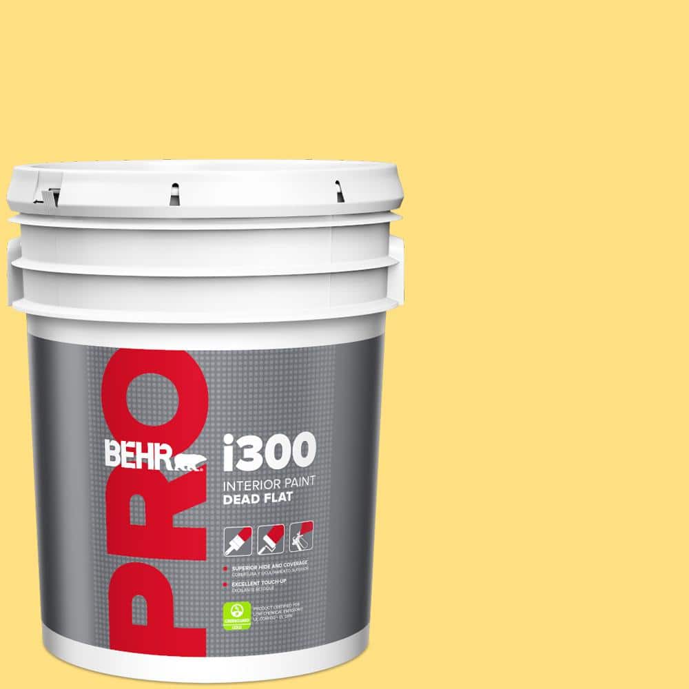 BEHR PRO 5 gal. #370B-4 June Day Dead Flat Interior Paint