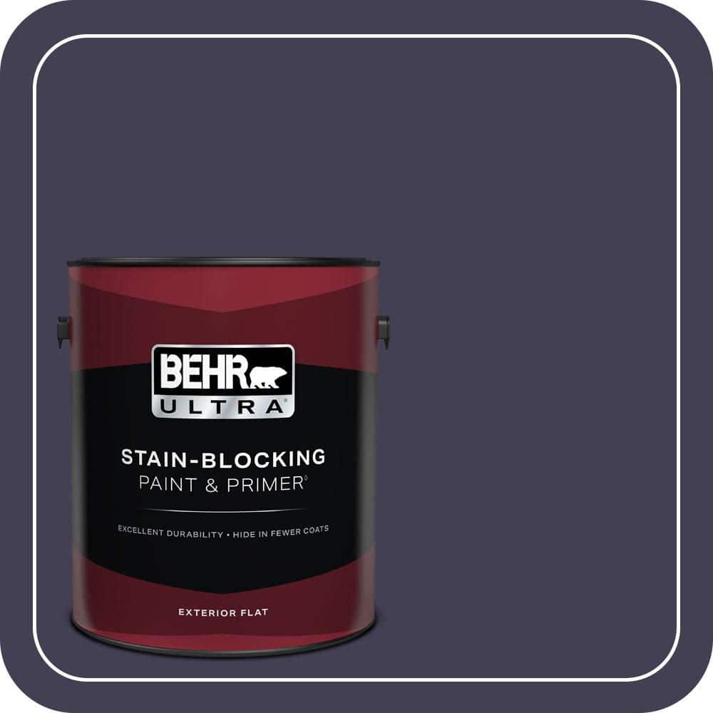 BEHR ULTRA 1 gal. #MQ5-39 Artistic License Flat Exterior Paint & Primer