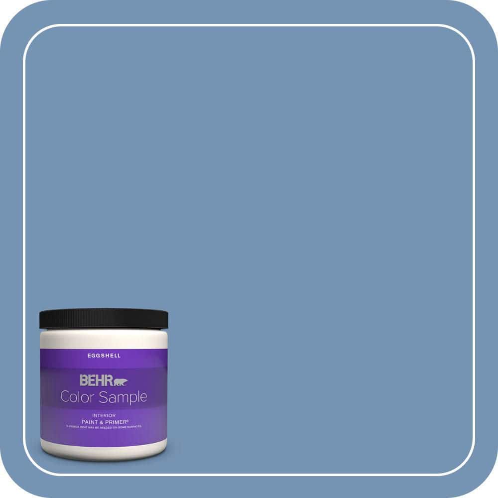 BEHR PREMIUM PLUS #580D-5 Ocean Ridge Enamel & Primer Color Sample (1)