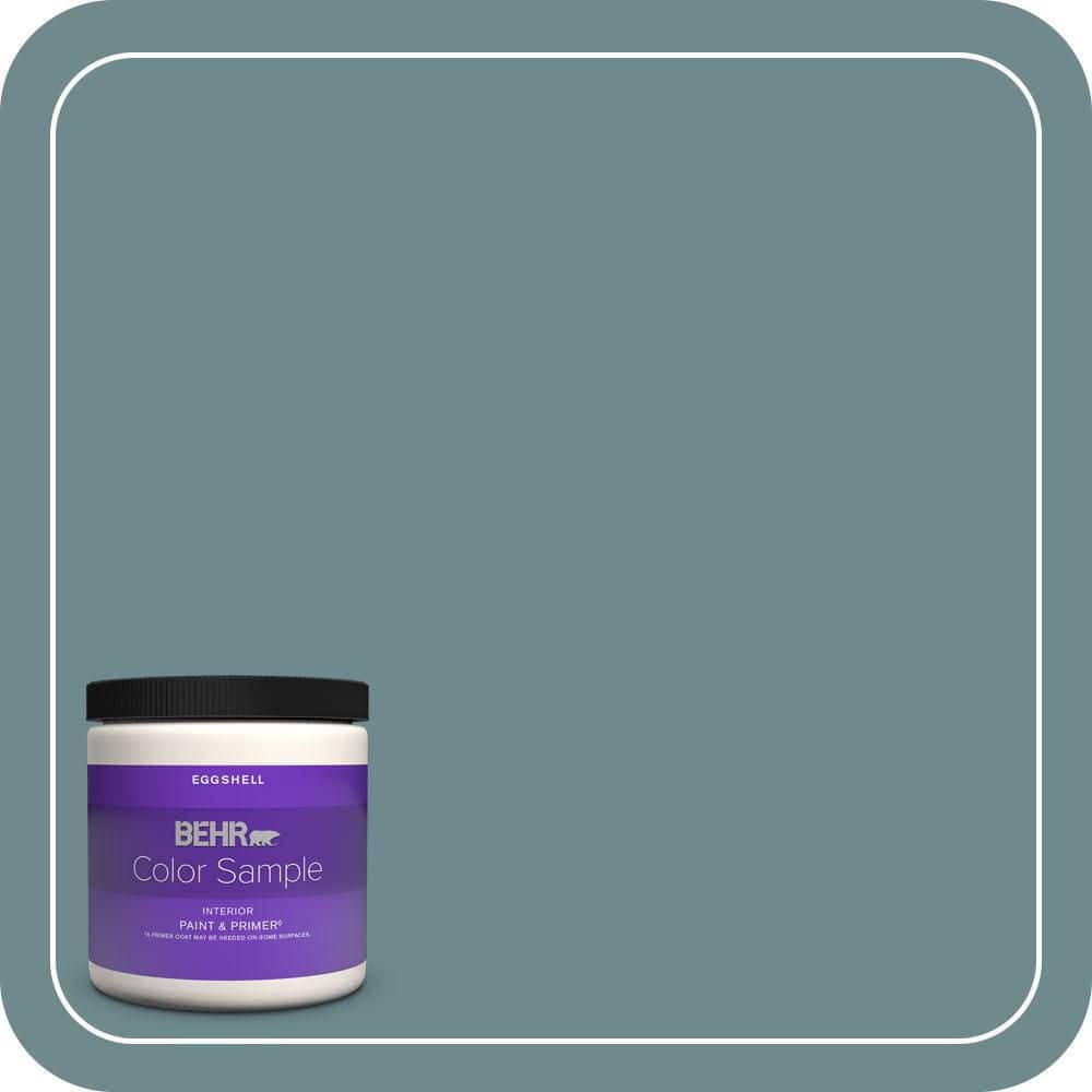BEHR PREMIUM PLUS #PPU13-06 Polaris Blue Enamel & Primer Color Sample (1)