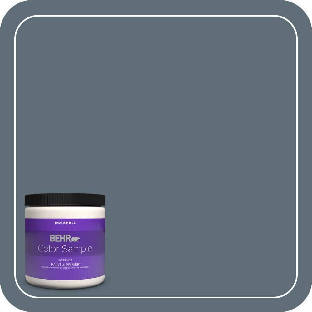 BEHR PREMIUM PLUS #N480-6 NYPD Flat & Primer (1)