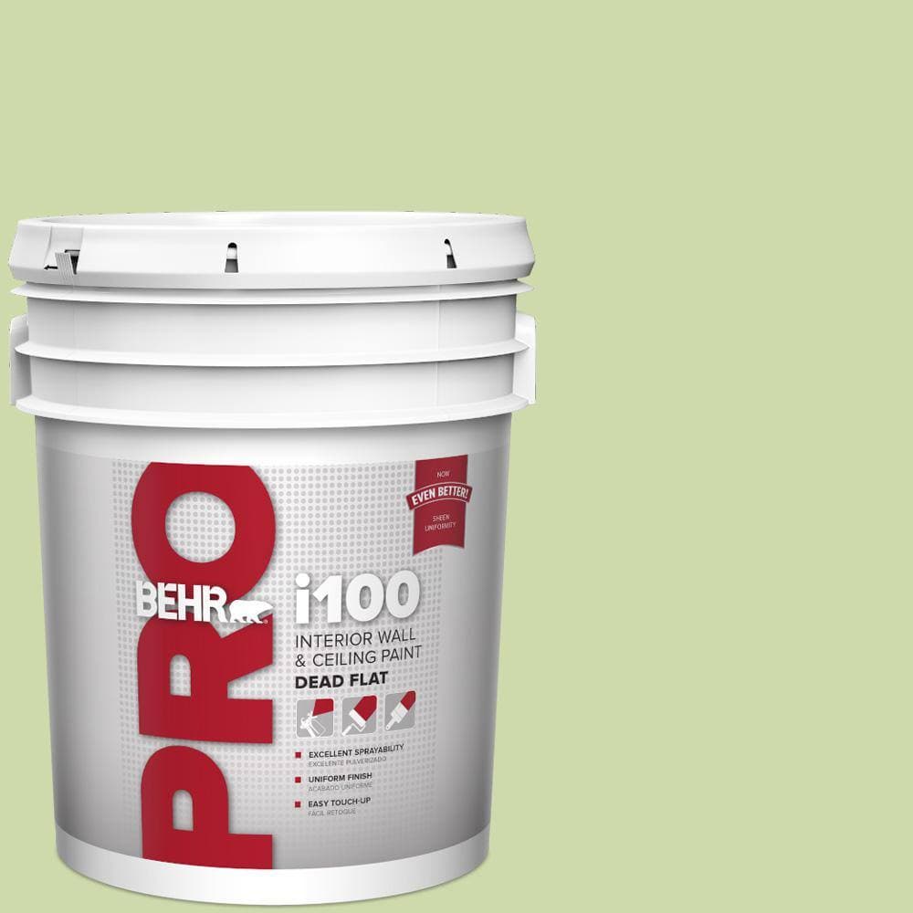 BEHR PRO 5 gal. #P370-3 Chameleon Skin Dead Flat Interior Paint (1)