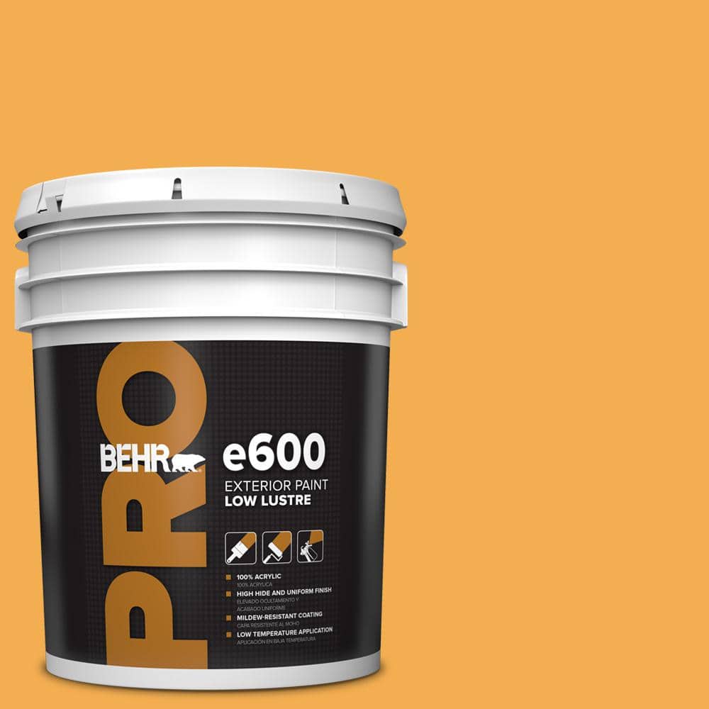 BEHR PRO 5 gal. #290B-6 Squash Low Luster Exterior Paint