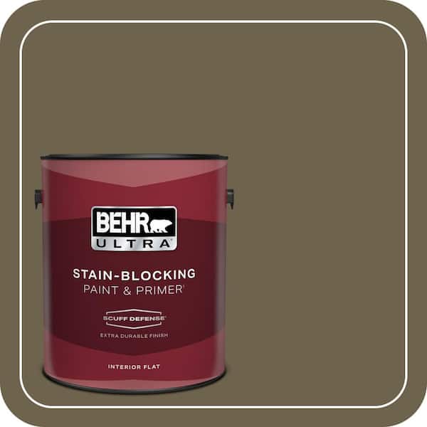 BEHR PREMIUM PLUS Home Decorators Collection #HDC-AC-15 Peat Flat Interior/Exterior Paint & Primer Color Sample (2)