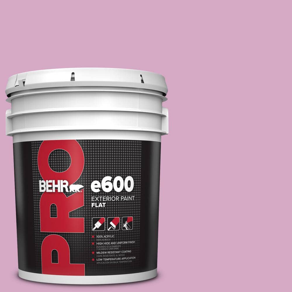 BEHR PRO 5 gal. #M120-4 Heart To Heart Flat Exterior Paint