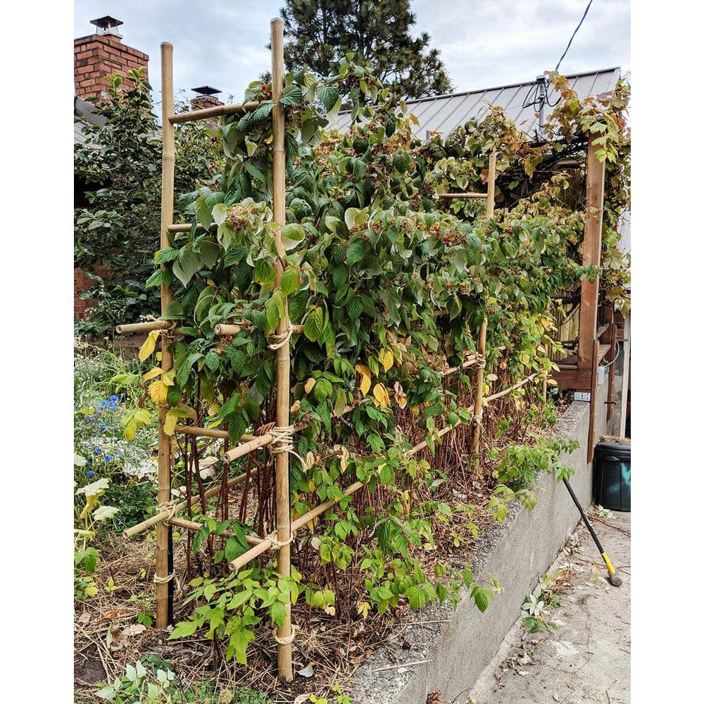 MGP 21 in. W x 72 in. H 5-Bar Ladder Hand-Crafted with Solid Bamboo (3)