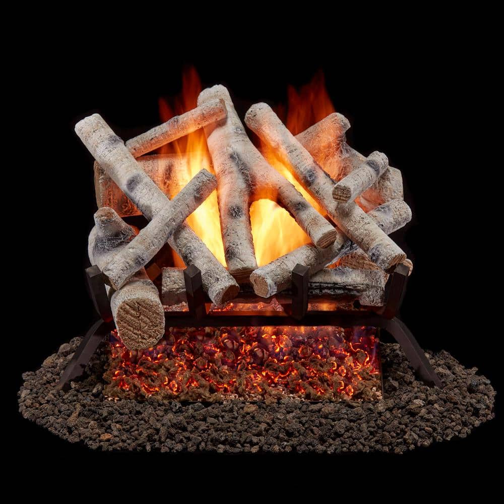 Bluegrass Living 18 in. Birch Wood Vented Natural Gas Fireplace Log Set, 45,000 BTU, Match Light (2)