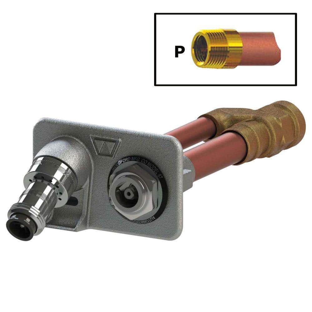 Woodford 3/4 in. FPT x 10 in. Freezeless Wall Hydrant with Double-Check Backflow Preventer (2)
