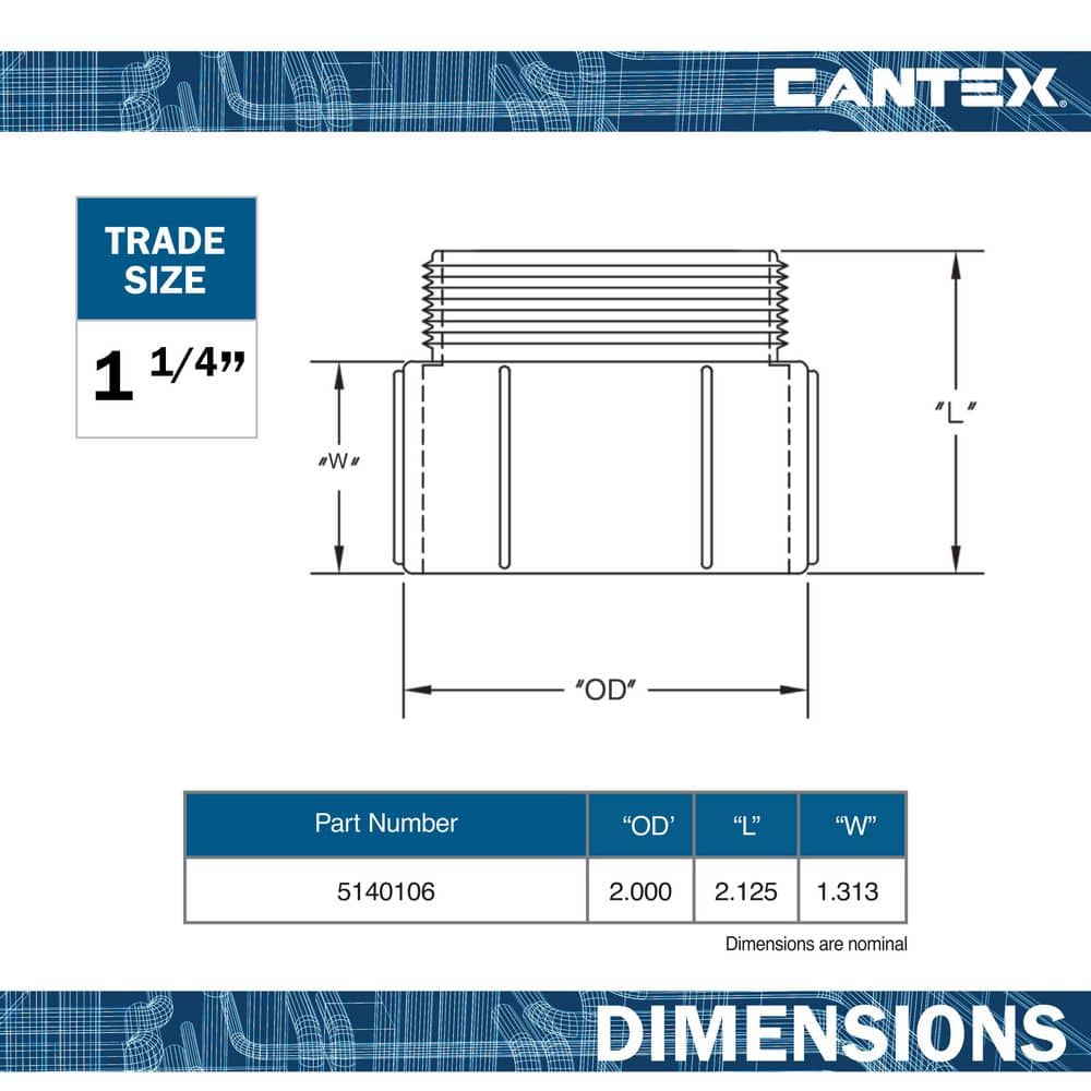 1.25 in. PVC Male Terminal Adapter Conduit Fitting for Cantex PVC Conduits (2)