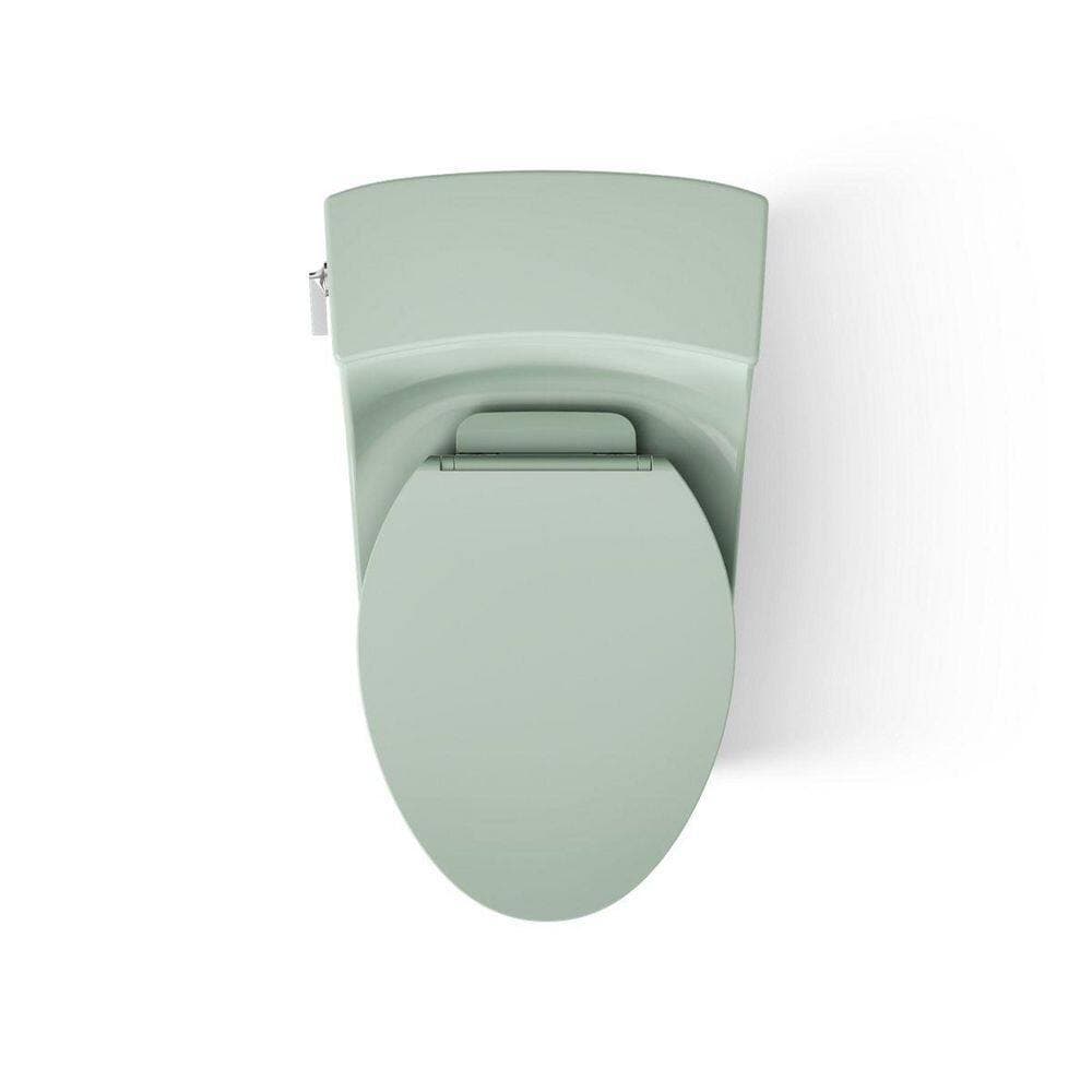 KOHLER San Souci 12 in. 1-Piece Single Flush: 1.28 GPF Single Flush Elongated Toilet in Aspen Green (2)