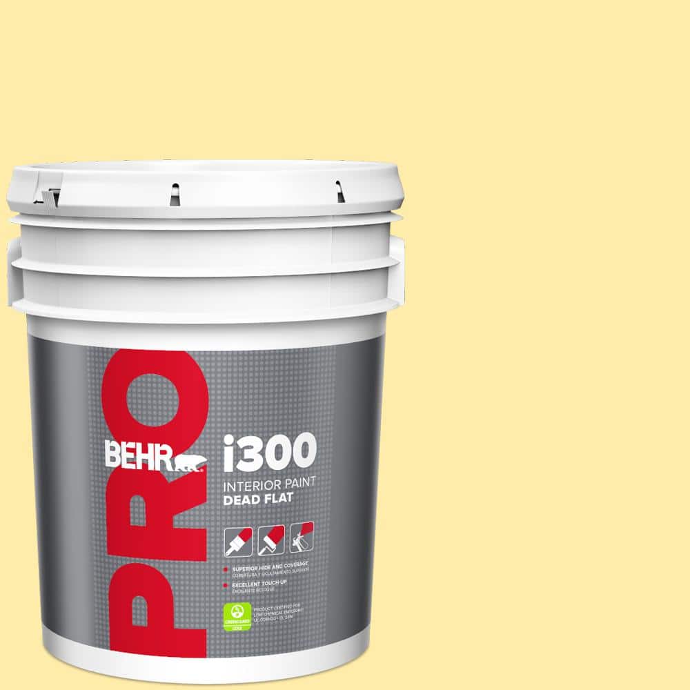 BEHR PRO 5 gal. #P300-3 Rite of Spring Dead Flat Interior Paint