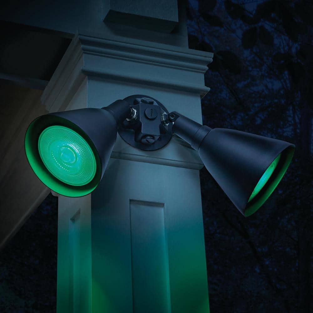 EcoSmart 90-Watt Equivalent PAR38 Green Color Decorative Indoor/Outdoor E26 Medium Base LED Spot Light Bulb (1-Pack) (3)