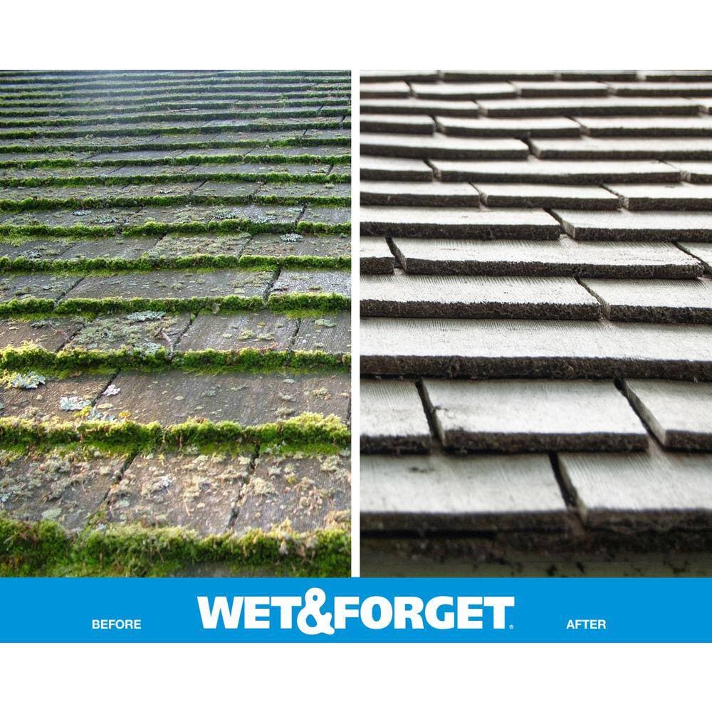 Wet and Forget 1 Gallon Concentrate Outdoor Cleaner Moss Mold Mildew & Algae Stain Remover (Case of 4) (2)