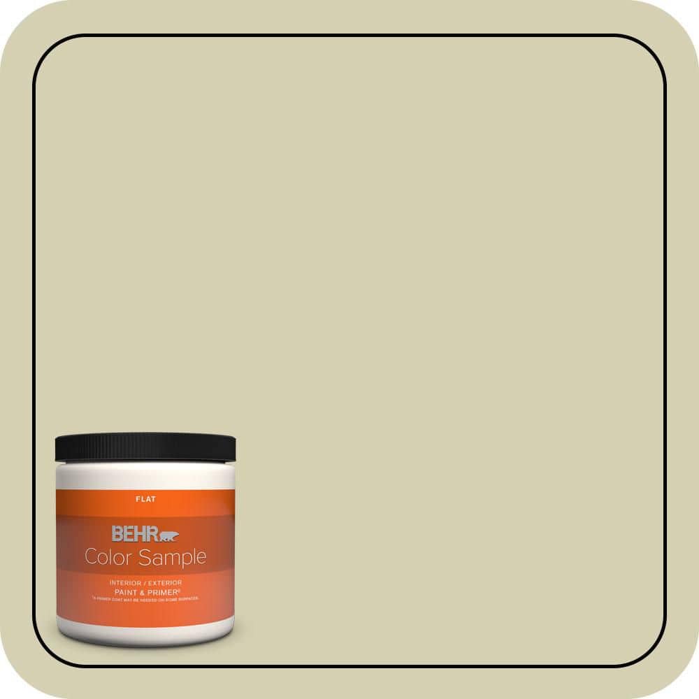 BEHR PREMIUM PLUS #S350-2 Windmill Enamel Interior/Exterior Paint & Primer Color Sample (1)