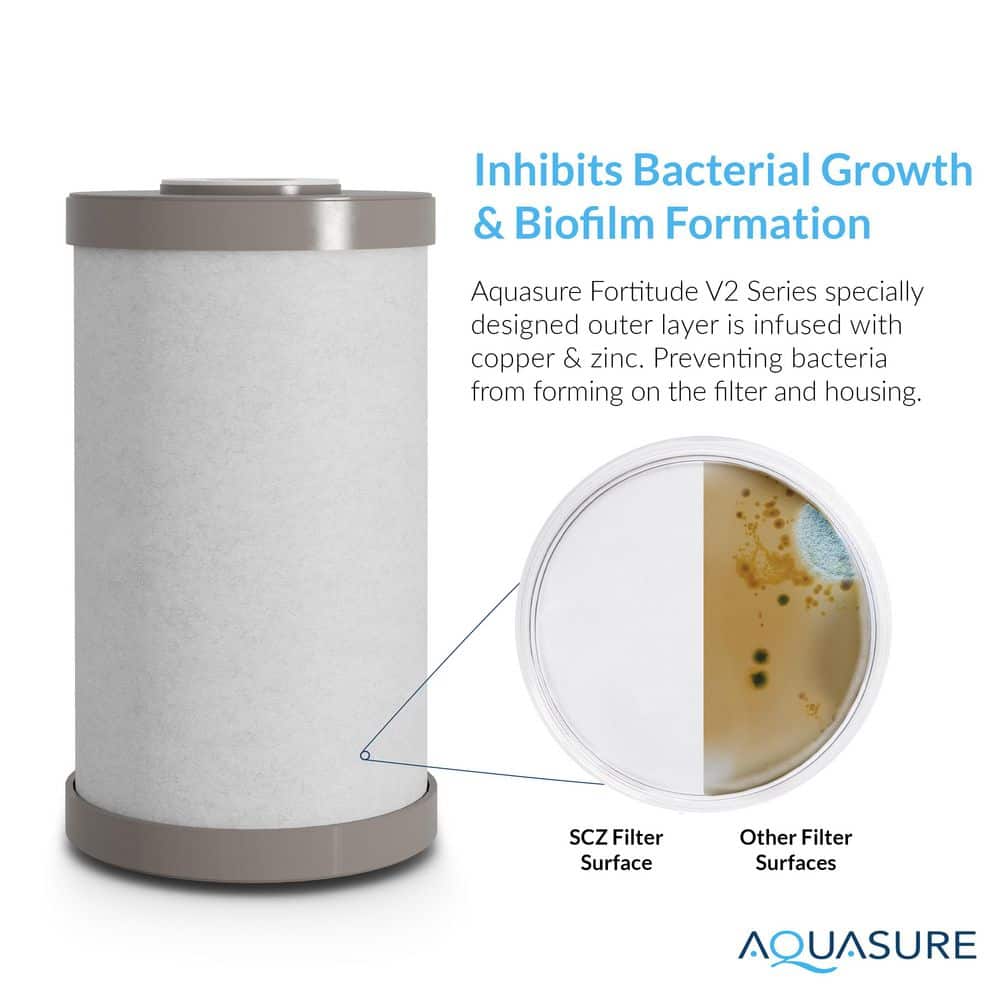 AQUASURE Fortitude V Series Sediment/Carbon/Zinc Bacteria Inhibiting Triple Purpose Replacement Filter - Standard (3)