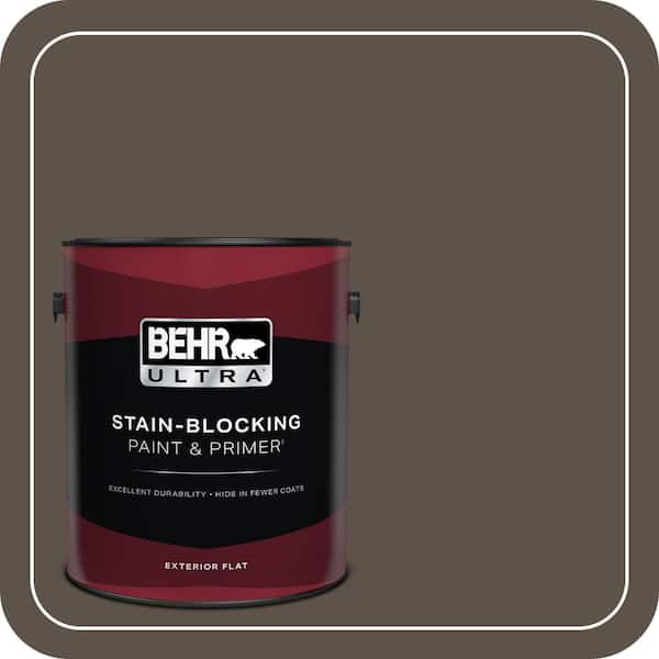 BEHR PREMIUM PLUS #ECC-12-3 Shadow Wood Flat Interior/Exterior Paint & Primer Color Sample (4)