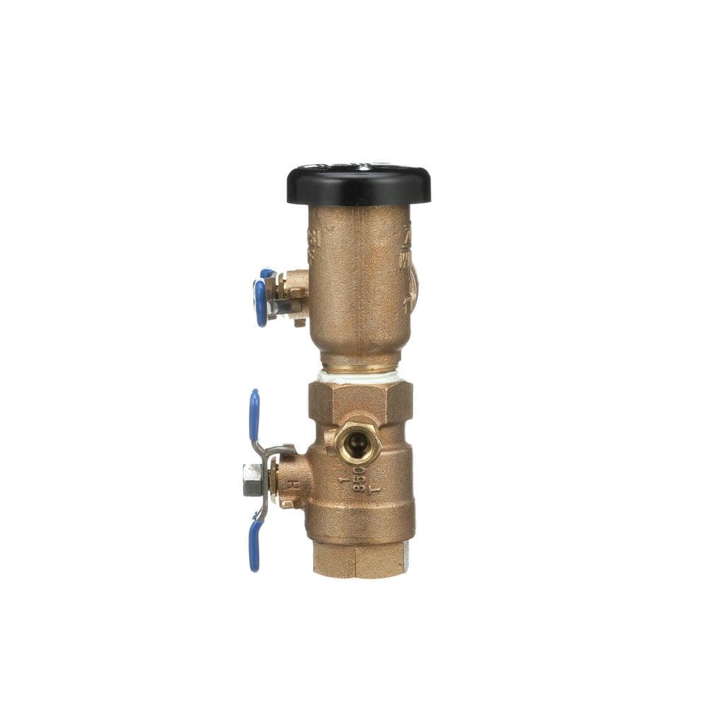 Wilkins 1 in. 710 Pressure Vacuum Breaker Valve Assembly (2)