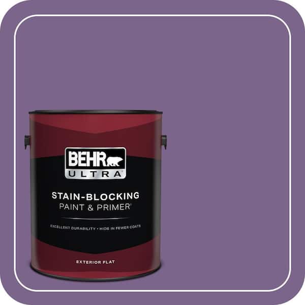 BEHR ULTRA 1 gal. #M570-6 Notorious Flat Exterior Paint & Primer (2)
