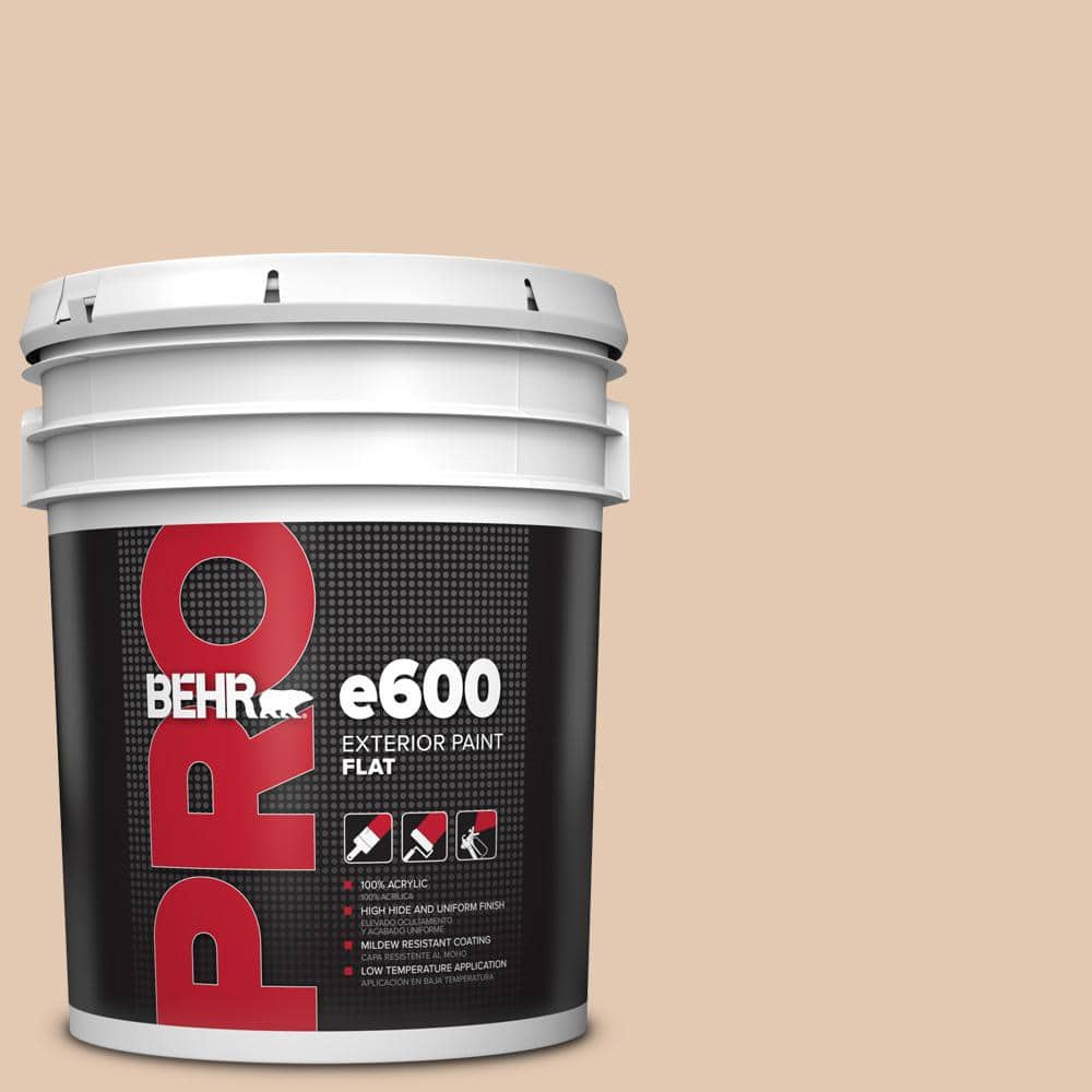 BEHR PRO 5 gal. #S230-2 Mesquite Powder Flat Exterior Paint
