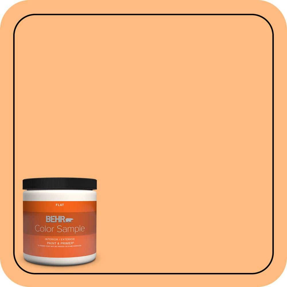 BEHR PREMIUM PLUS #270B-4 Apricot Flower Enamel Low Odor & Primer (1)