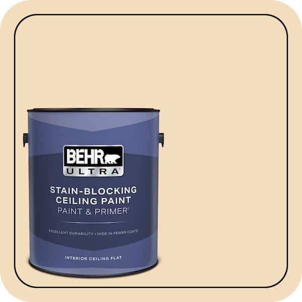 BEHR ULTRA 1 gal. #YL-W01 Spinning Silk Ceiling Flat Interior Paint and Primer (2)