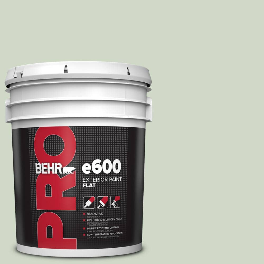 BEHR PRO 5 gal. #HDC-CT-25 Bayberry Frost Flat Paint