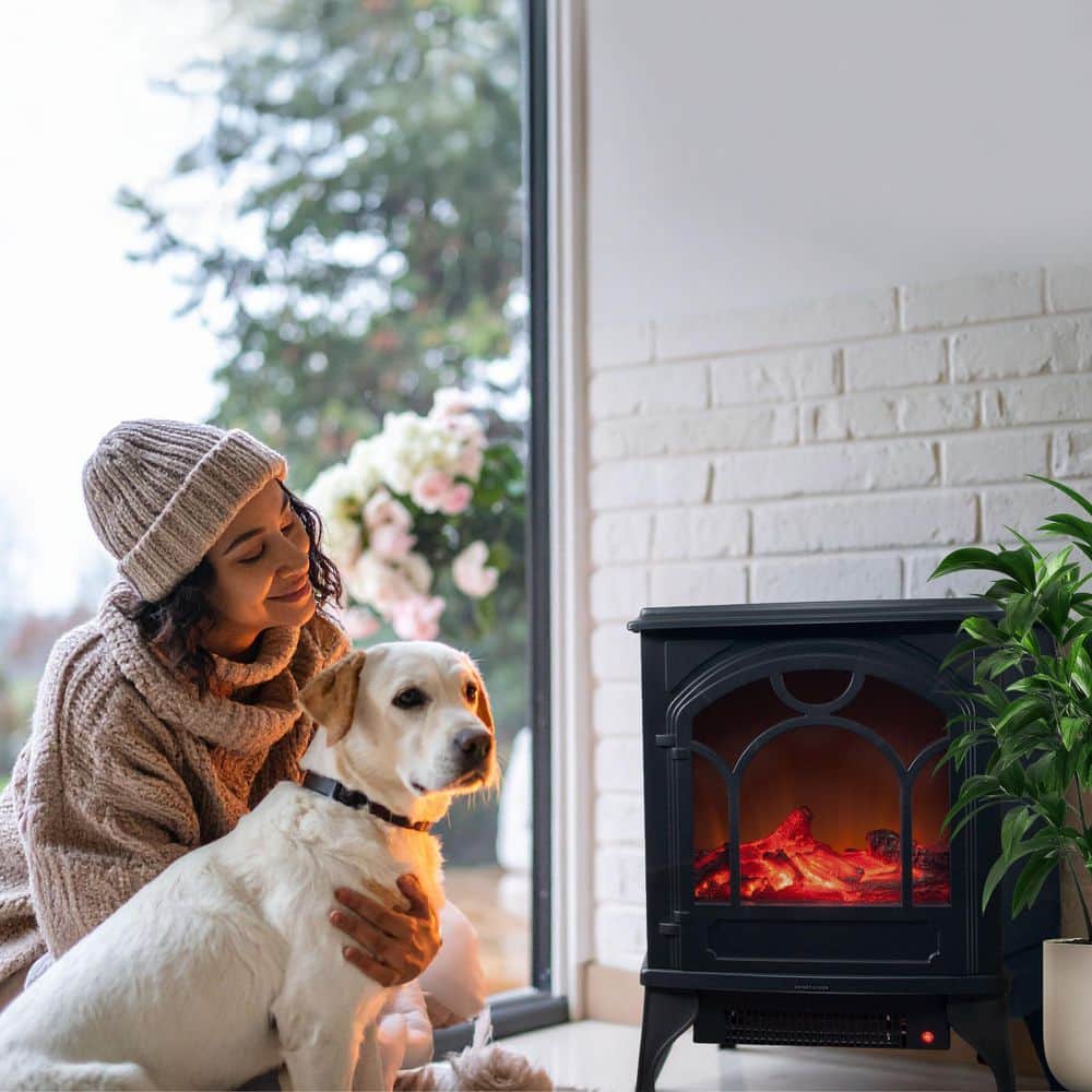 Northwest 21.5 in. Freestanding Classic Electric Log Fireplace in Black (3)