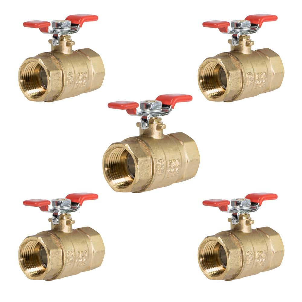 PLUMBFLEX 1 in. FIP x 1 in. FIP Premium Brass Full Port Ball Valve with T-Handle (5-Pack) (1)