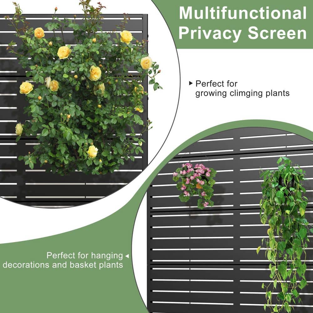 Dovelina 2-Piece 47 in. x 72 in. Black Textured Metal Garden Screens Outdoor Privacy Screen (2)